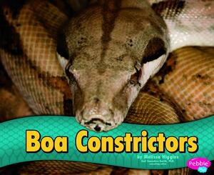 Boa Constrictors by Melissa Higgins