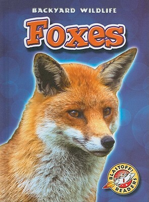 Foxes by Emily Green