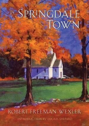 In Springdale Town by Robert Freeman Wexler