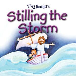 Stilling the Storm by Juliet David