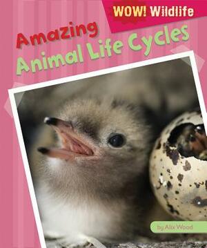 Amazing Animal Life Cycles by Alix Wood