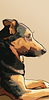 griess's profile picture