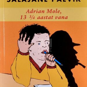 Salajane päevik: Adrian Mole, 13 3/4 aastat vana by Sue Townsend