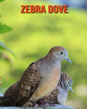 Zebra Dove: Learn About Zebra Dove and Enjoy Colorful Pictures by Matilda Leo