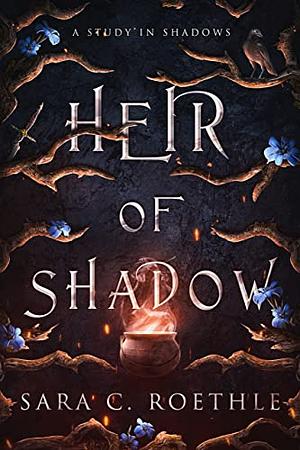 Heir of Shadow by Sara C. Roethle