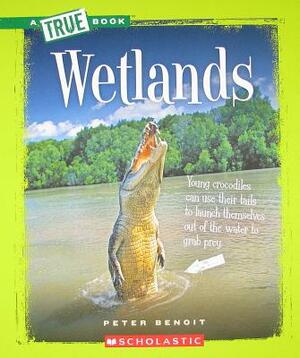 Wetlands by Peter Benoit