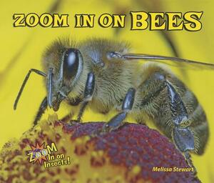 Zoom in on Bees by Melissa Stewart