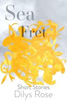Sea Fret: Short Stories by Dilys Rose
