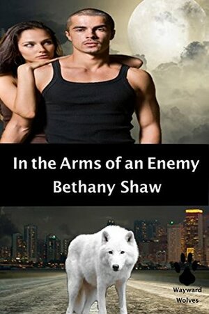 In the Arms of an Enemy by Bethany Shaw