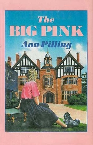 The Big Pink by Ann Pilling