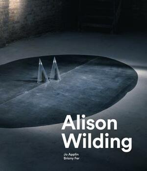 Alison Wilding by Jo Applin