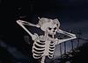 _mistborn_'s profile picture