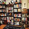 lainas_library's profile picture