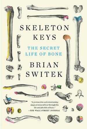 Skeleton Keys: The Secret Life of Bone by Riley Black (Brian Switek)