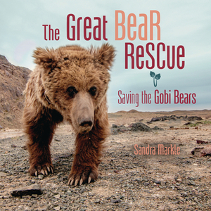 The Great Bear Rescue: Saving the Gobi Bears by Sandra Markle
