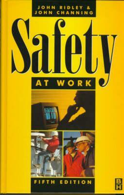 Safety at Work by Ridley, John Ridley, Channing