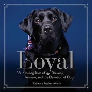 Loyal: 38 Inspiring Tales of Bravery, Heroism, and the Devotion of Dogs by Rebecca Ascher-Walsh