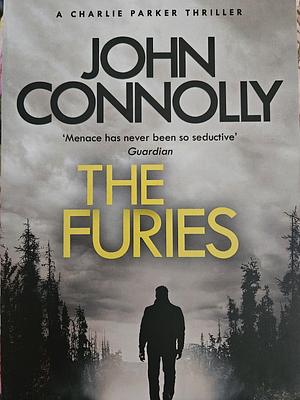 The Furies: Private Investigator Charlie Parker looks evil in the eye in the globally bestselling series by John Connolly, John Connolly