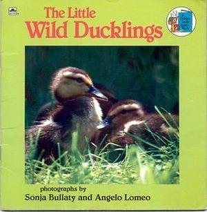 The Little Wild Ducklings by Sonja Bullaty