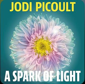 A Spark of Light by Jodi Picoult