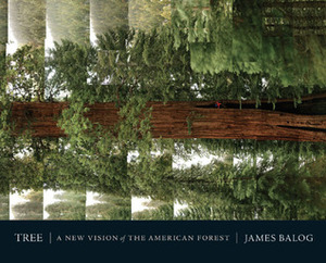 Tree (mini ed.): A New Vision of the American Forest by Jim Balog