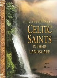 Celtic Saints in Their Landscape by Elizabeth Rees