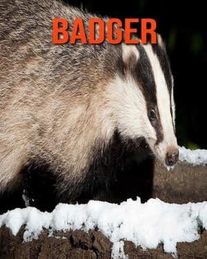 Badger: Learn About Badger and Enjoy Colorful Pictures by Diane Jackson