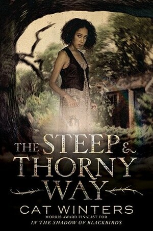 The Steep & Thorny Way by Cat Winters