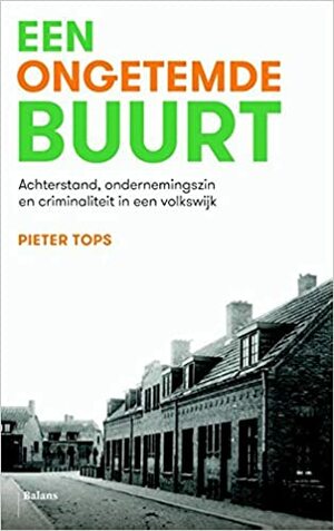 Een ongetemde buurt by Pieter Tops