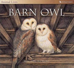 Barn Owl by Sally Tagholm, Bert Kitchen