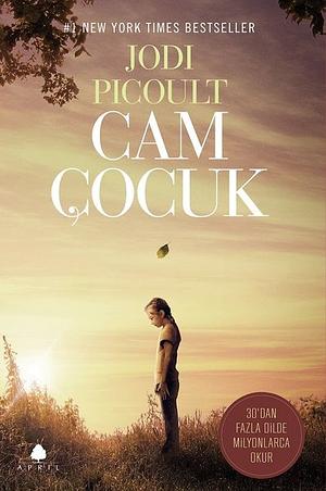 Cam Çocuk by Jodi Picoult