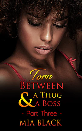 Torn Between A Thug & A Boss: Part 3 by Mia Black