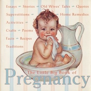The Little Big Book of Pregnancy by Lena Tabori