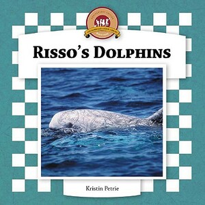 Risso's Dolphins by Kristin Petrie