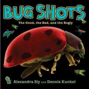 Bug Shots: The Good, the Bad, and the Bugly by Dennis Kunkel, Alexandra Siy