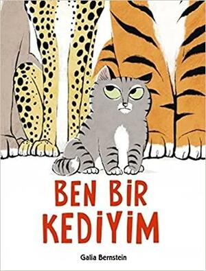Ben Bir Kediyim by Galia Bernstein