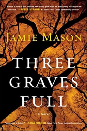 Drie graven vol by Jamie Mason