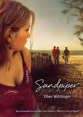 Sandpiper by Ellen Wittlinger