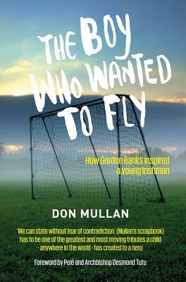 The Boy Who Wanted To Fly by Don Mullan