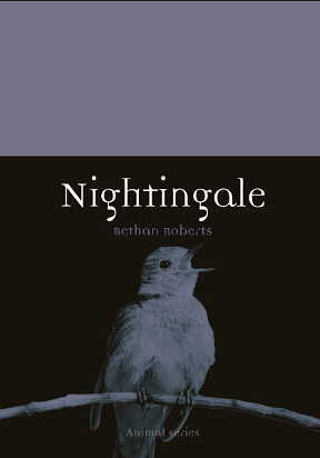 Nightingale by Bethan Roberts