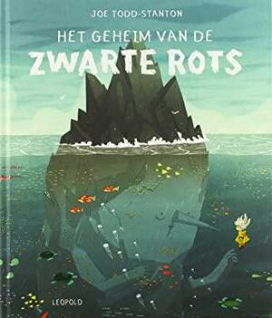 Het geheim van de Zwarte Rots by Joe Todd-Stanton