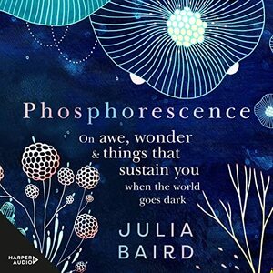 Phosphorescence: On awe, wonder and things that sustain you when the world goes dark Bolinda by Julia Baird