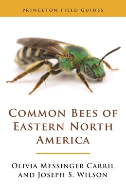 Common Bees of Eastern North America by Joseph S. Wilson, Olivia Messinger Carril