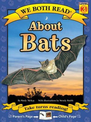 About Bats by Sindy McKay