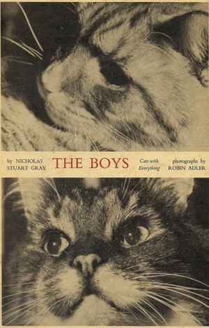 The Boys by Nicholas Stuart Gray