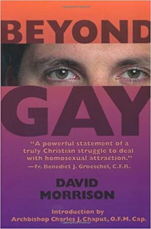 Beyond Gay by David Morrison