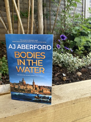 Bodies in The Water by AJ Aberford