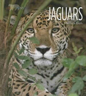 Jaguars by Melissa Gish
