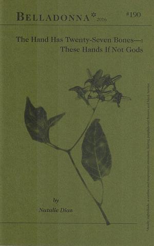 The Hand Has Twenty-Seven Bones—:  These Hands If Not Gods by Natalie Díaz
