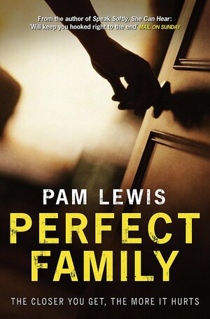 Perfect Family by Pam Lewis